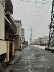 花が降る朝