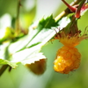 lovely orange color