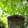 祠