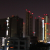 ビルのルビー1