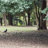 talk together2