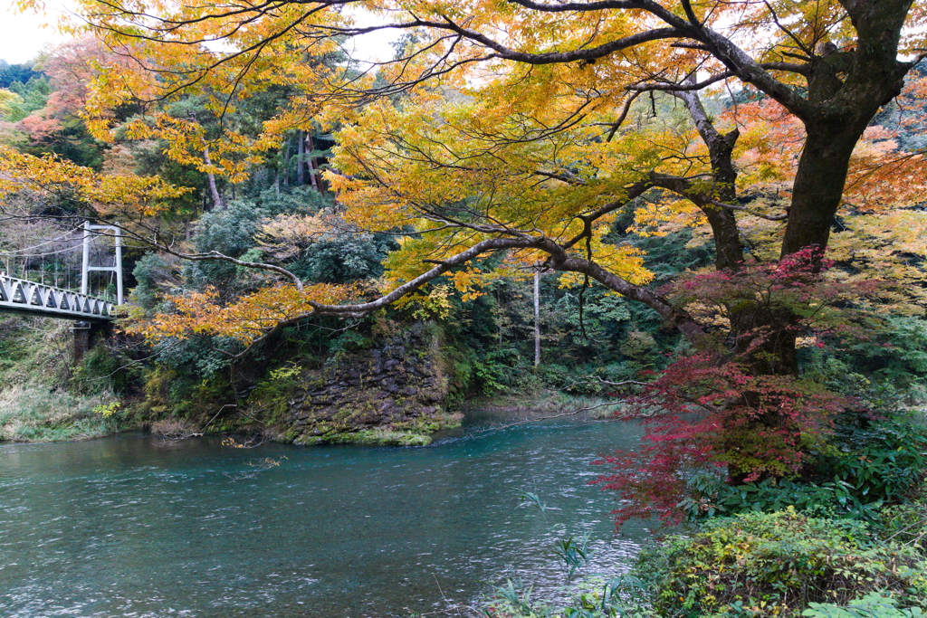 黄色と水色の表情