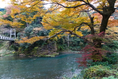 黄色と水色の表情
