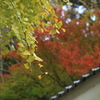 あなたが首をかしげて見ていた