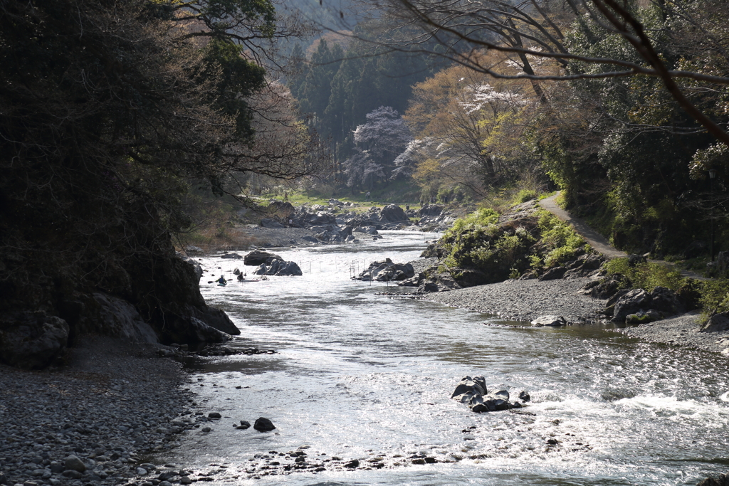 多摩川3