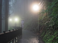 図らずも雨の御岳山５