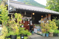 そして入店