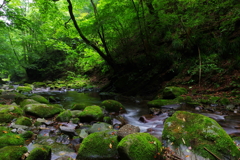 黒い岩の渓