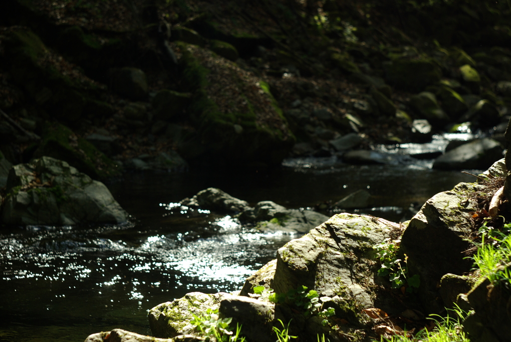 春のsunlight（Grains of light7）