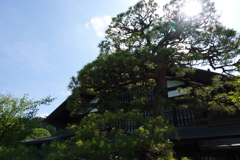 小説家の住処2