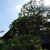 小説家の住処2
