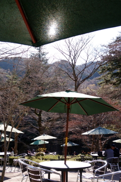 Useful parasol