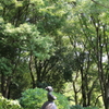 像と烏