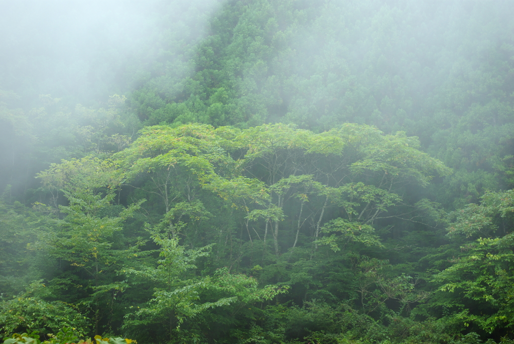 雲が降る