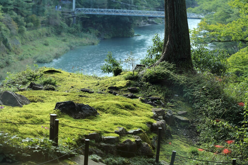 彼岸花を添えた風景