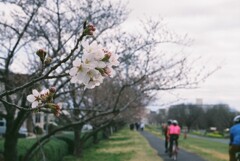 駆け抜ける予感