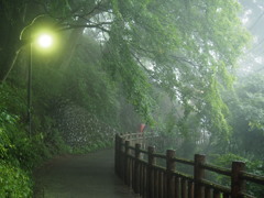 図らずも雨の御岳山３