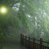 図らずも雨の御岳山３