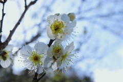 待っていた甲斐