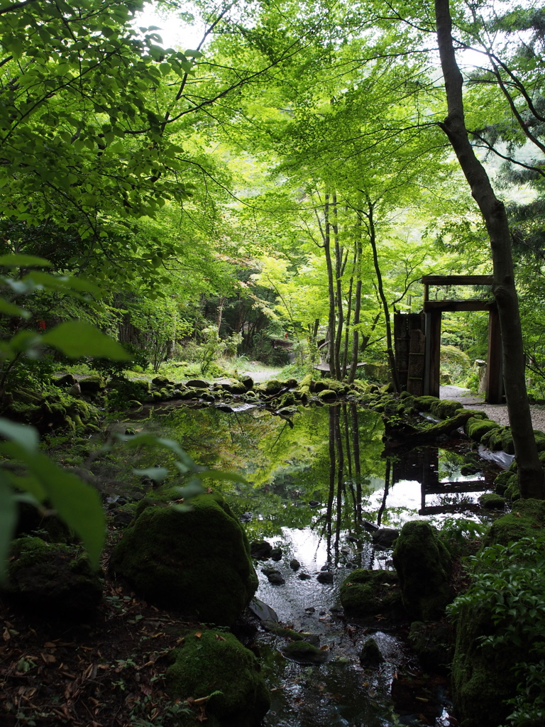 水の鏡