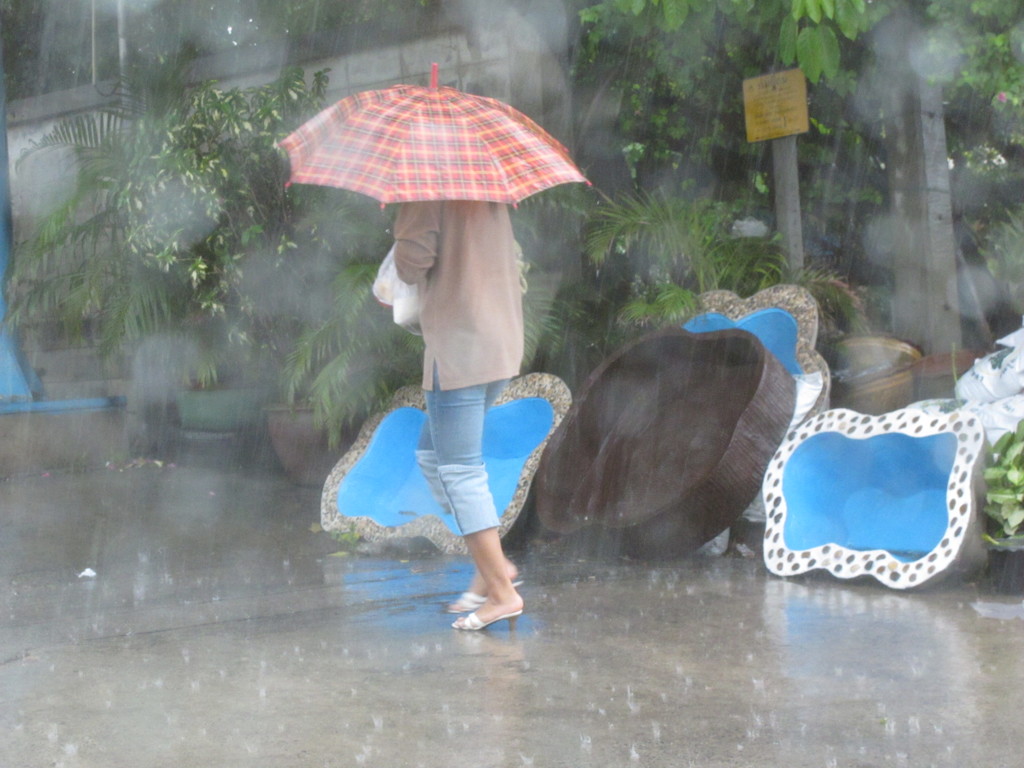 人工池の水をひっくり返したような雨