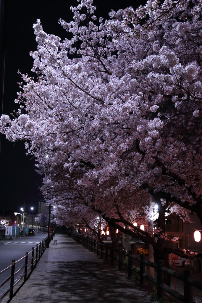 夜のかおり