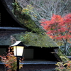 紅葉を飾る