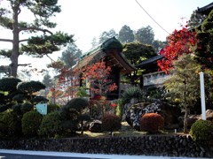 恩恵