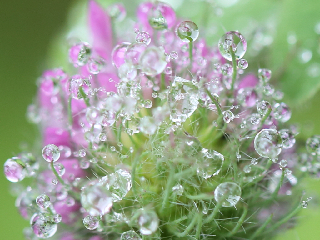 Tears In Heaven1