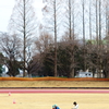 木の芽時までの距離