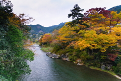 秋