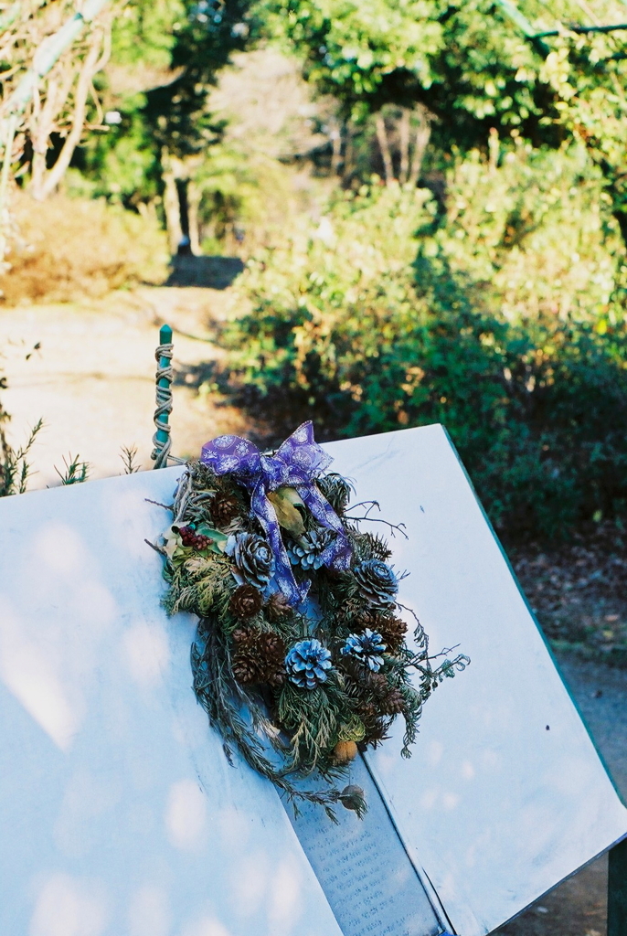 来年はフィルムを増やしたいな