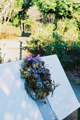 来年はフィルムを増やしたいな