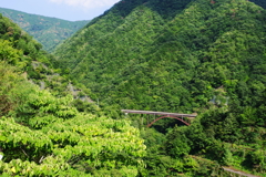 緑中錆色