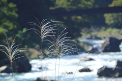 水の青