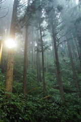 図らずも雨の御岳山６