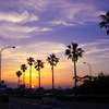 miyazaki sunset