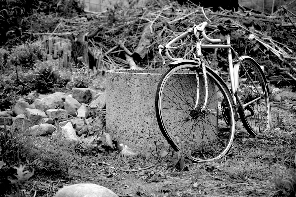 自転車