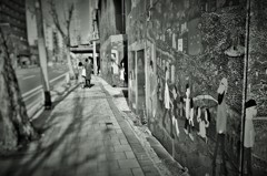 Daydream