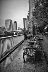 Rainy Morning