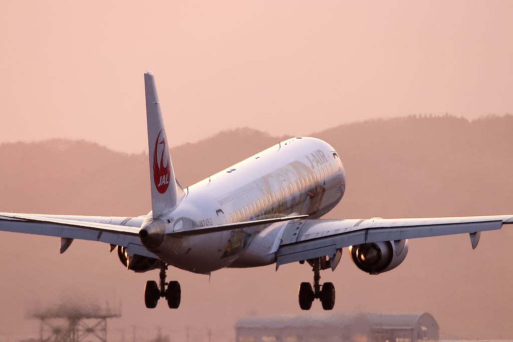 仙台空港 夕焼着陸2