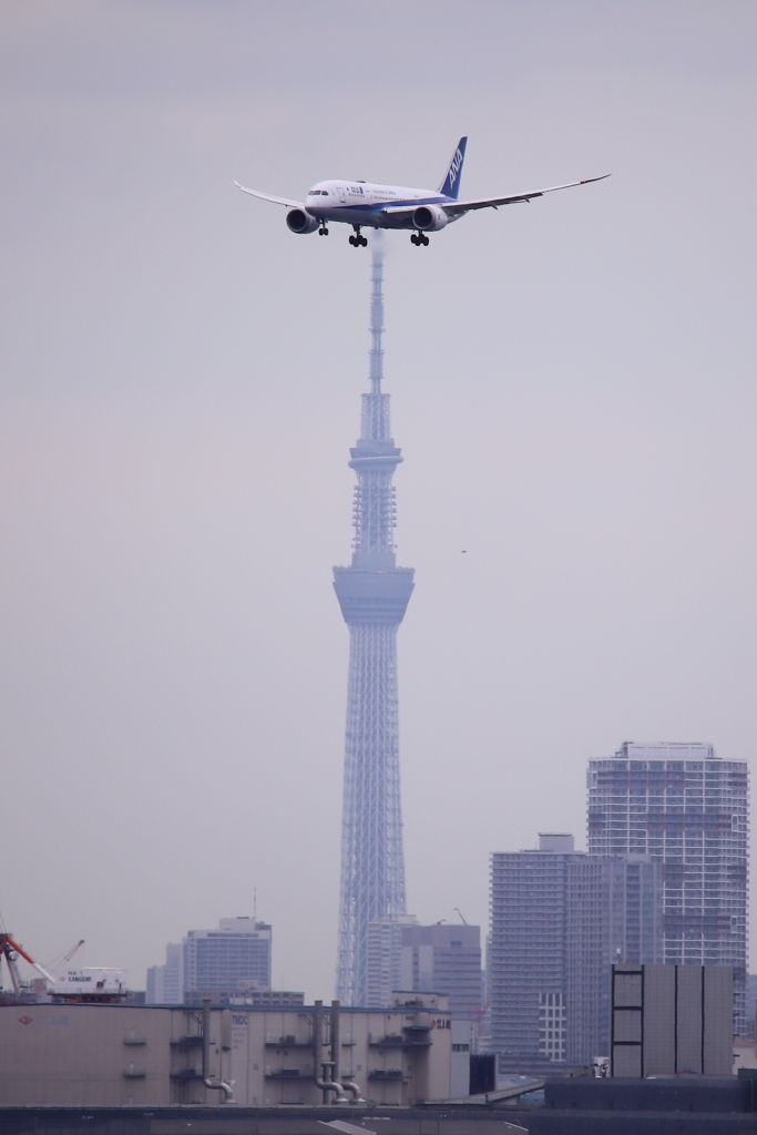 スカイツリースタンドディスプレイ