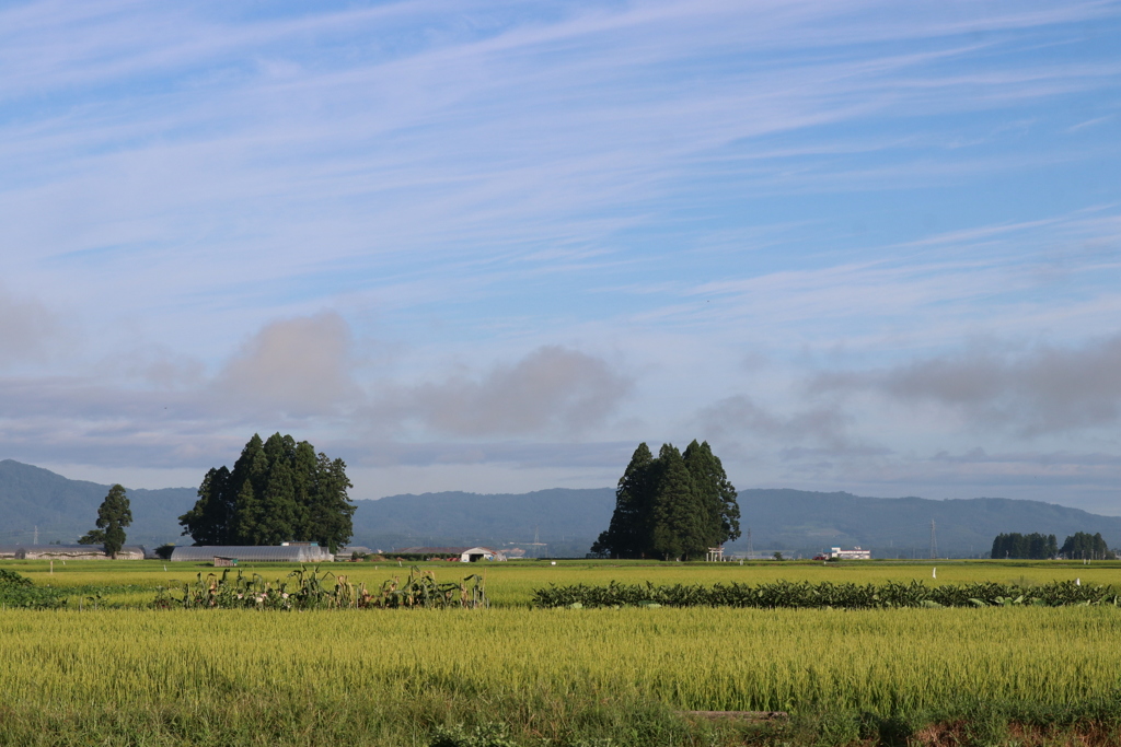 2017秋田夏風景 青空と田園