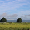 2017秋田夏風景 青空と田園