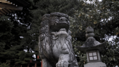 神社の守り神