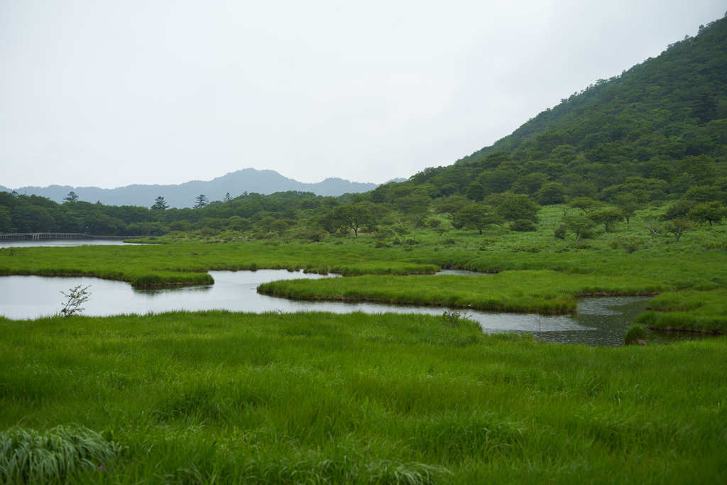 お山の短い夏②