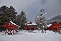 赤城神社