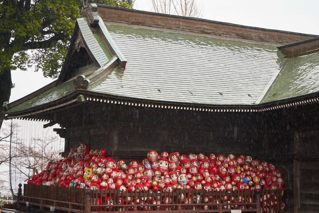 みんなで雨宿り