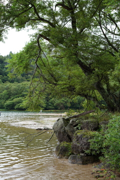 心地よい風が吹く