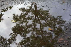 雨上がり